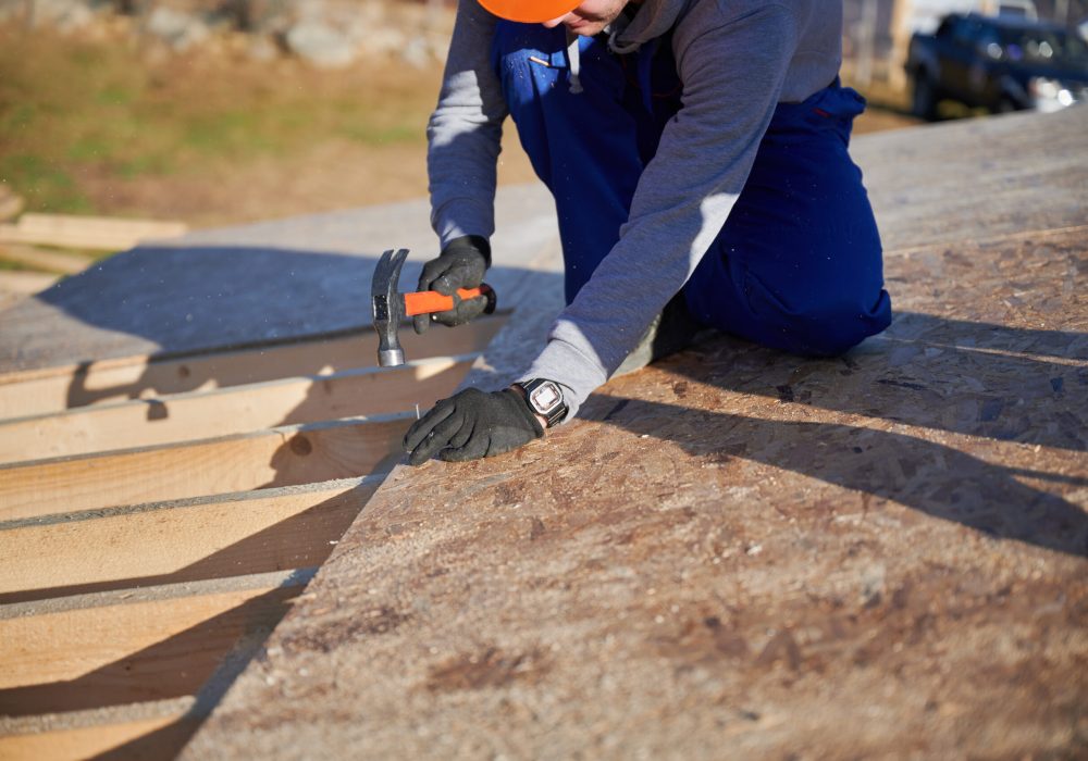 Carpenter hammering nail into OSB panel on the roof top of future cottage. Man worker building wooden frame house. Carpentry and construction concept.